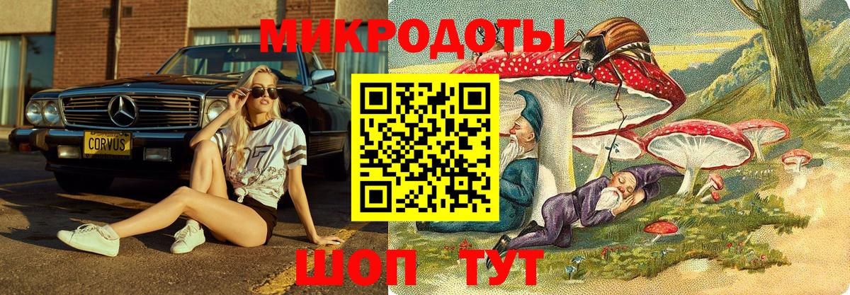Псилоцибиновые грибы Cubensis Усолье-Сибирское