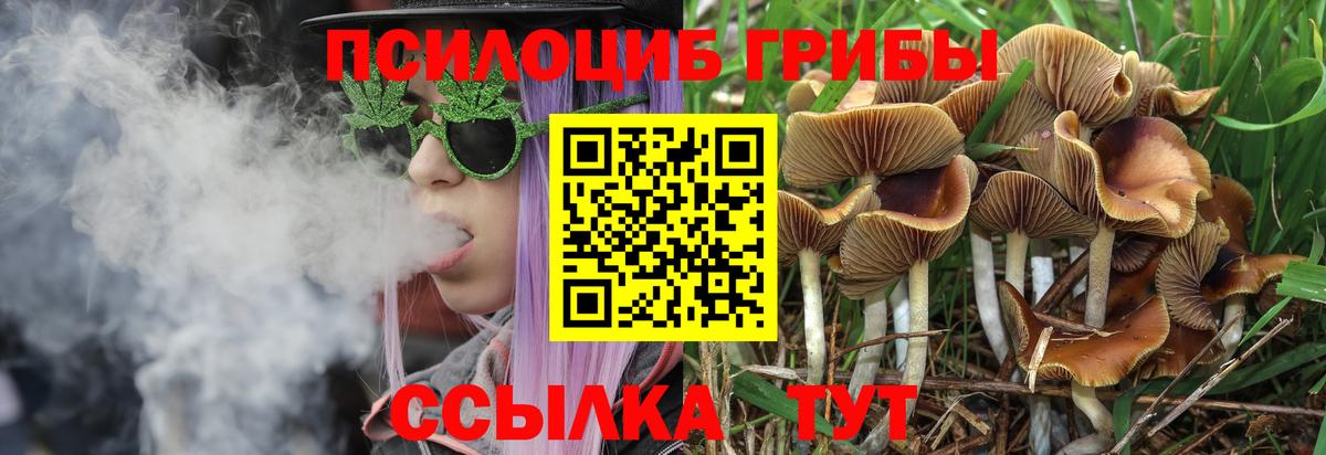 Галлюциногенные грибы Magic Shrooms  Вход с VPN  Псилоцибиновые грибы Psilocybine cubensis  Усолье-Сибирское 