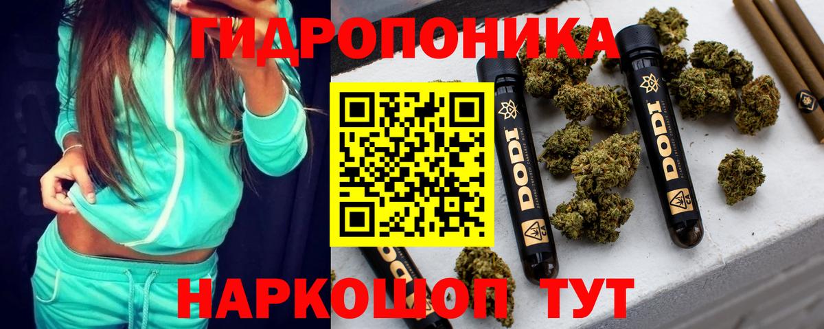 Бошки марихуана марихуана Усолье-Сибирское